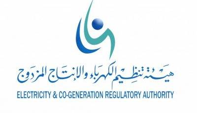 وظائف شاغرة بهيئة تنظيم الكهرباء والإنتاج المزدوج للجنسين في الرياض